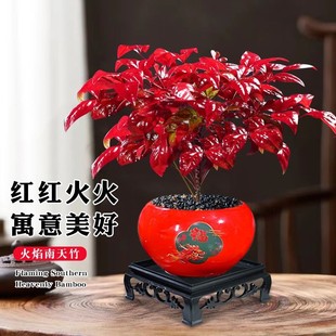 �����������辰�����ͺ��t�~�Gֲ�҃���͏d�̨�ļ����B����ֲ��