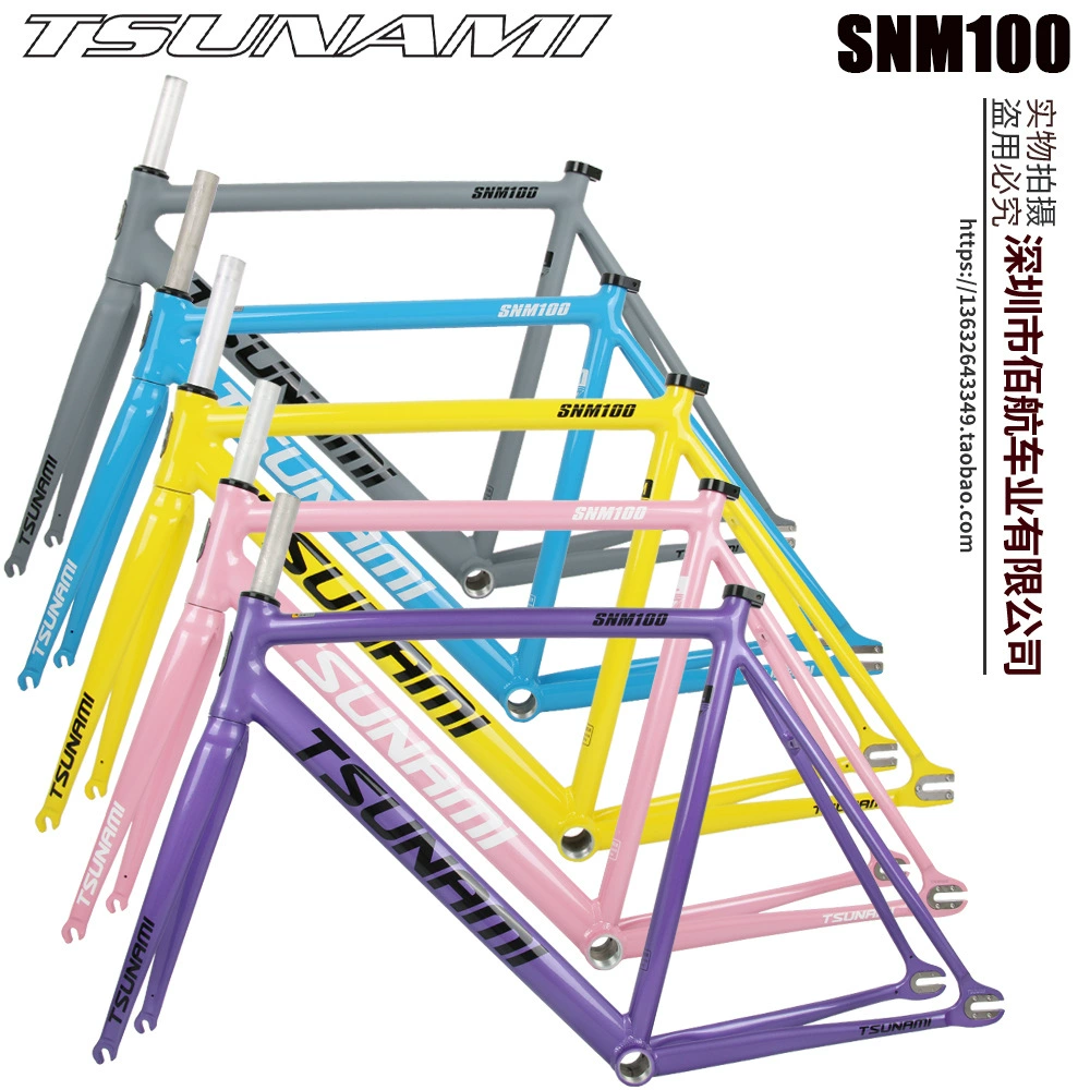 TSUNAMI Tsunami Summy SNM100 Pioneer Dead Flying Aluminum Alloy Racing Site Bicycle frame