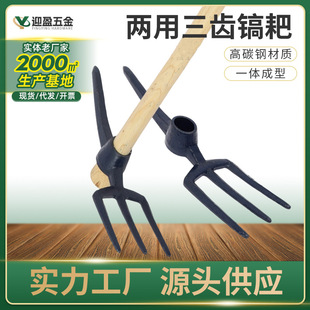 �F·�������X����怰� �F·怰����S�oʩ���������X����^��܉