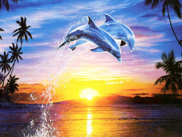 Dolphins Diamond Painting
