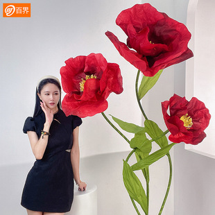 �¿����c���߼ٻ����ͷ��滨��Y�����b�������ֹ���ˇ��