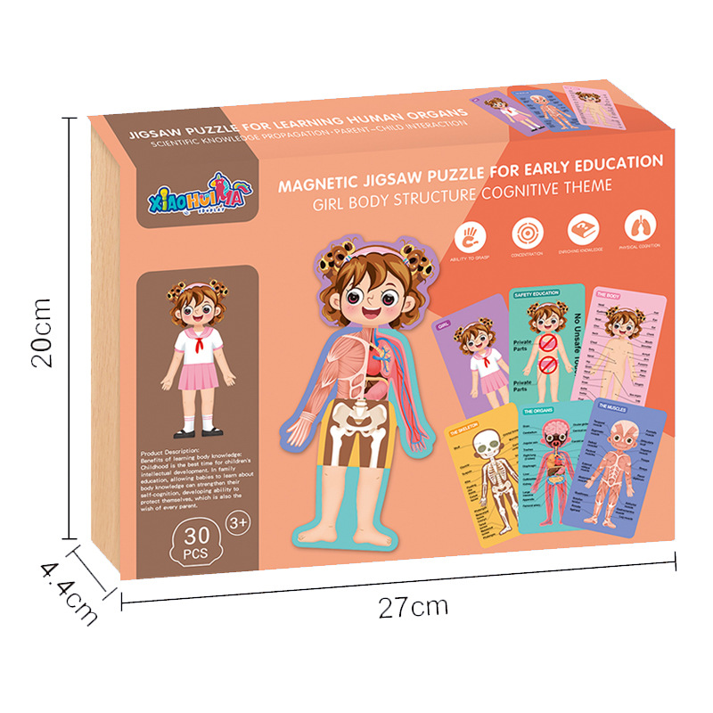 Qizhi de los niños de educación temprana juguetes magnético plano rompecabezas de la muchacha combinación de la estructura del cuerpo libro del rompecabezas magnético