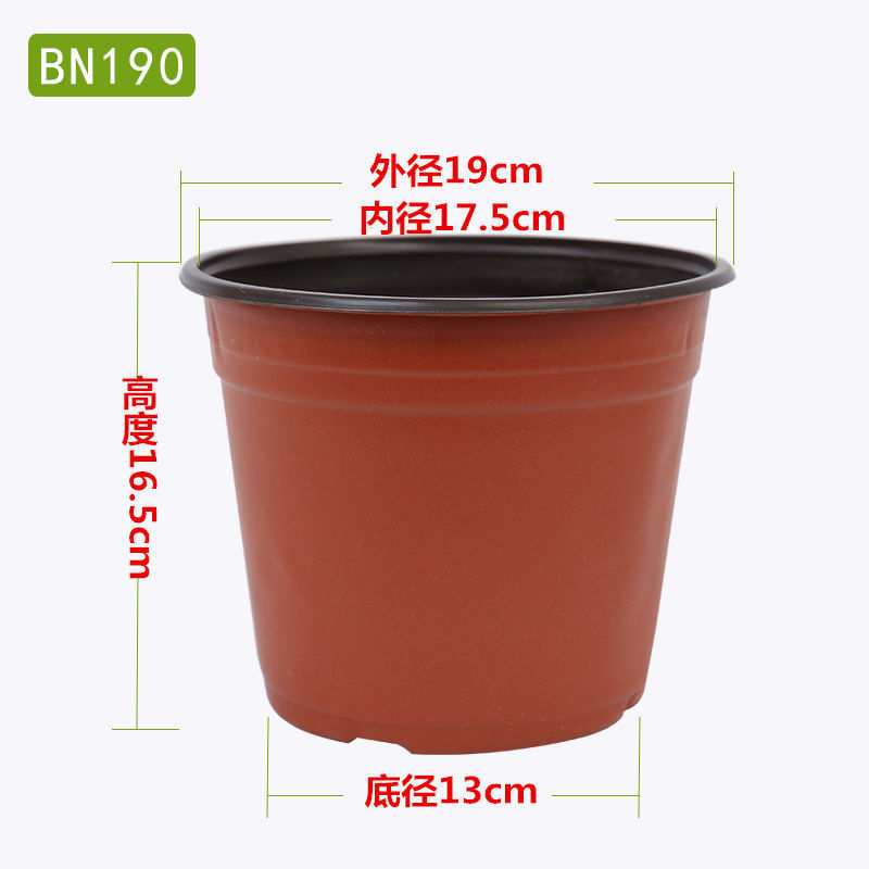 62ff38d8-480e-49b5-9010-a9bdc937c725.jpe