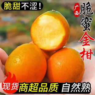 ����S���]�����۽���r����������С��̱��ǽ������rˮ������