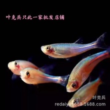 �Ϻ��Ͻ���R�~�^�p�~��ˮ�~��ˮ�~�Ї�ԭ���~õ��𾀰뾀���~