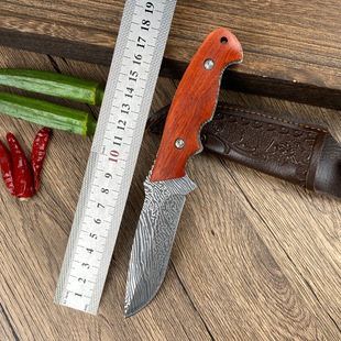 Outdoor Portable Meat Cutting Knife Stainless Steel Handle Meat Pattern Straight Knife Forged Knife Household Fruit Knife Ready for Sale