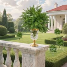 ����ֲ��ˮ�ݺ���  �Ҿ���Ӱ����ֲ��ǽ����װ��װ������5����