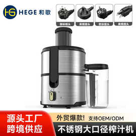 商用大功率榨汁机多功能全自动不锈钢水果蔬菜原汁机工厂直销外贸