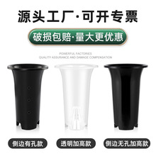 加高透明兰花盆塑料高盆大号透气国兰花盆批发无侧孔黑色兰花花盆