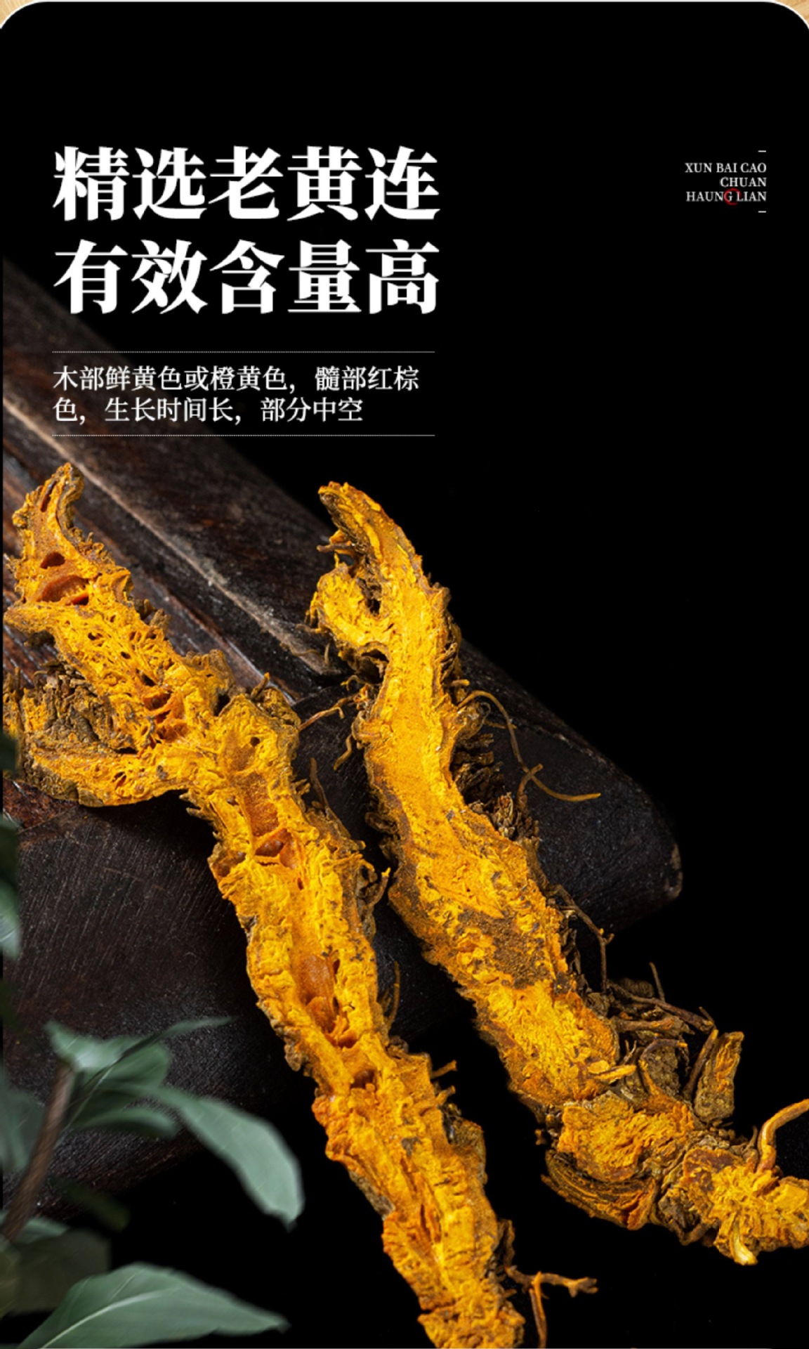 Sichuan Coptis Root Slices Huang Lian 500g Dried Chinese Herb for Decoction and Tea specifications