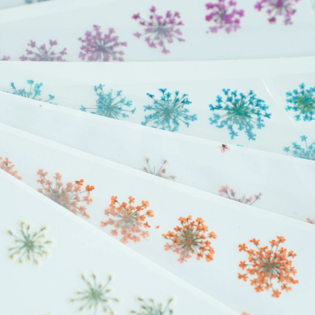 Цветок снежного бисера кружевной тисненой цветок, сопровождающий детский материал ручной работы образец растения закладка чехол для телефона капающий клей с сухими цветами