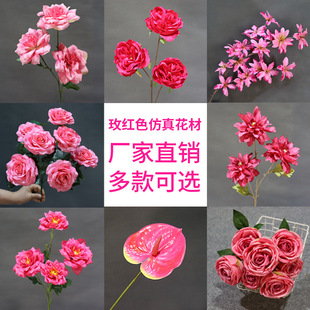 ��؛����10֦�bõ�tɫϵ���滨�Ļ�c·���廨��ˇ�����b���