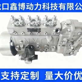 油泵、油嘴;燃油喷射装置