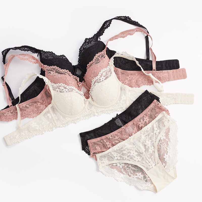 Autumn and Winter New Pure Sexy Lace French Underwear Small Chest Push-up Lace Soft Steel Ring Bra suit