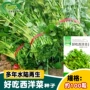 盆栽水陆水培好吃种子