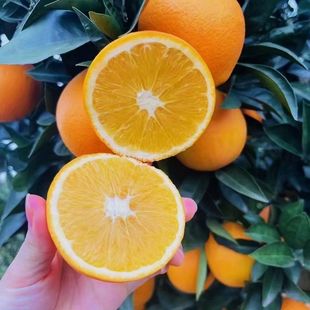 ���Ӽ~�ɠ����wĚ�ȱ�֭���rˮ�������Fժ�F�lһ�����l���M��Ě��