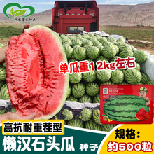 Нhʯ^ϷN s÷Nز۴EA