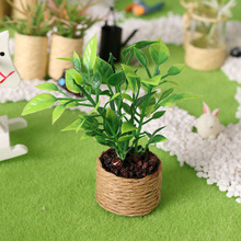 微缩食玩橘子树迷你模型1:12分ob11娃娃屋植物盆栽dollhouse过家
