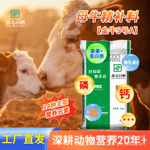 鼎圣母牛精补料均衡营养微量提G母牛繁殖性能厂家直销母牛饲料