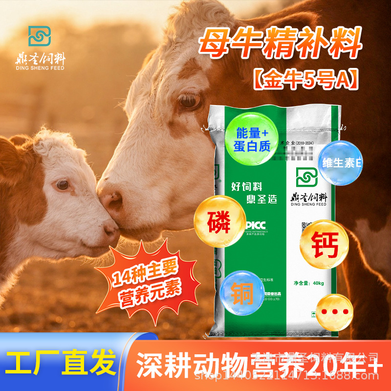 鼎圣母牛精补料均衡营养微量提G母牛繁殖性能厂家直销母牛饲料