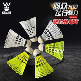 羽毛球;羽毛球拍