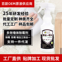 メーカーのクレンジング神壁体のカビ除去剤500ml 2 in 1強力なカビ除去スプレー洗浄壁のカビ除去