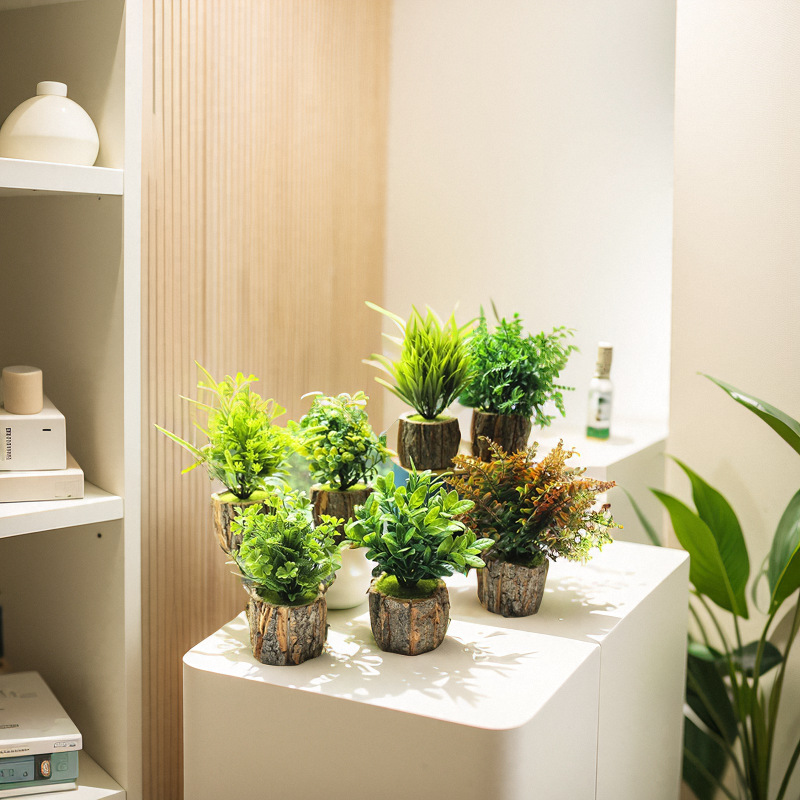 Sala de estar nórdica pequeña maceta supermercado decoración de plantación verde bonsai decoración para el hogar exhibición de flores