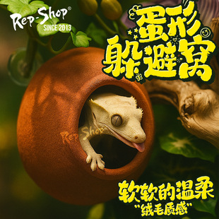 �޽��،m���ж���ݘ䗫�C�������P��Ѩ���������Ғ��쾰��ÓƤ��