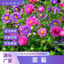 ջ¾շNҰ׻ɫGLͺ͟ỨR