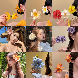 ���ɷՇ��з�������m����l�A�߼��к�߅�����^ȼ��L����߅�A