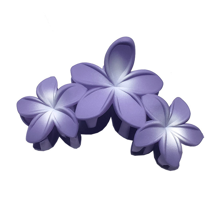 国境を越えたアマゾンの卵の花がグラデーションの花のキャンディー色の紫荊花の後頭部をつかんでサメの花を挟んで髪を伸ばします。|undefined