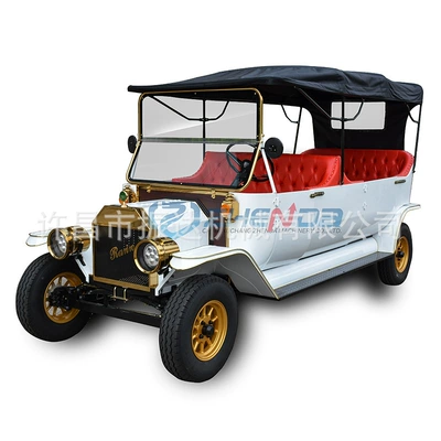 Area Tour Car Deposit, Elektrikli qolf avtomobilləri