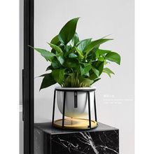 �G�}�����k��������С�����҃ȃ����՚����ֲ����B����Ҭ�ӾGֲ