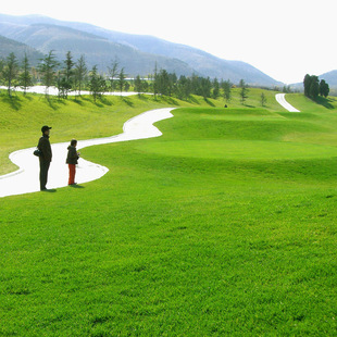 ��ƺ�N���o���у��׻�����ͥԺ�G�������ݶ������Ͱ�Ƥ�N