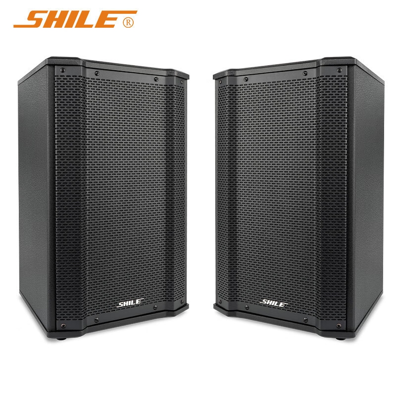 Shile 10inch Professional Passive Speaker 120W High Power Fixed Resistance Conference Room Wall-Mounted Speakers Pair Bx-106