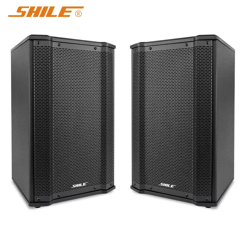 狮乐10英寸专业无源音箱120W大功率定阻会议室壁挂音响一对BX-106