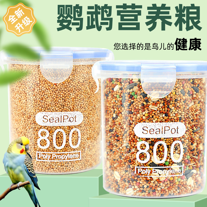 Parrot feed