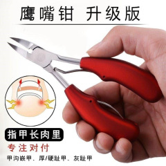甲溝専用の爪切り爪切り爪切り爪爪切り爪爪爪の爪の爪の爪の爪の爪の爪の爪の爪の爪の爪の爪の爪の爪の爪の爪の爪の爪の爪の爪の爪の爪の爪の爪の爪の爪の爪の爪の爪の爪の爪の爪の爪の爪の爪の爪の爪の爪の爪の爪の爪の爪