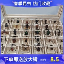�ƌW����ҽ��ׄ���˱���֬���x�˱����xϐ��֩���ռ{�жY�а��b