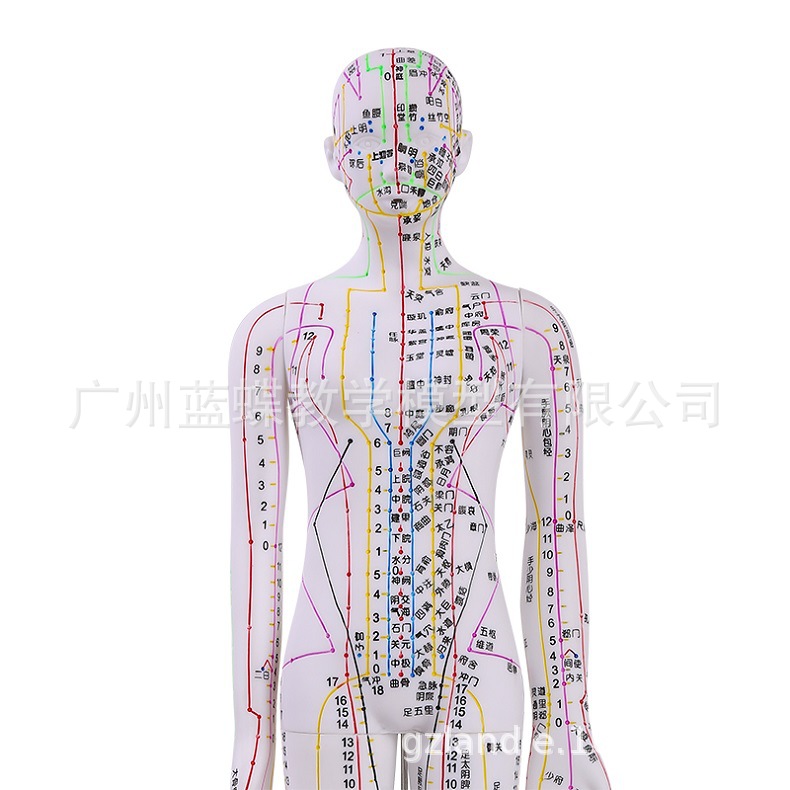 假模_13