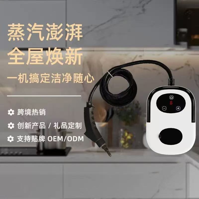 跨境高压高温蒸汽清洁机小型家用空调厨房油烟机速热式高温清洗机|undefined