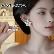 2025�¿����黨����Ů�¿�r����껨���h���s���|�ٴ���