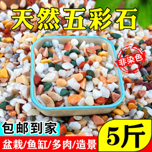 [5kg] boutique natural rain flower stone Pebble gardening home decoration paving fish tank Stone black white yellow red color stone