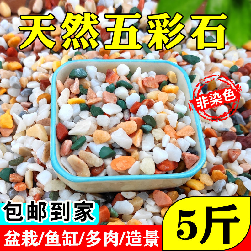 [5kg] boutique natural rain flower stone Pebble gardening home decoration paving fish tank Stone black white yellow red color stone