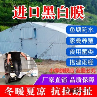 Insulation Film Sun Protection Imported Reflective Green and White Film Greenhouse Black and White Film Edible Fungus Plastic Cloth Thickeneded Breeding Wall