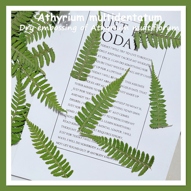 微信图片_20210612134856_副本_副本