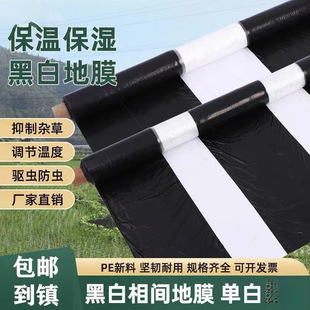 Mulch Film for Agricultural Planting, Perforated Black and White, Thickened, Weed-Proof, Suitable for Planting Peanuts, Potatoes, Vegetables, Sugar Cane, and Corn