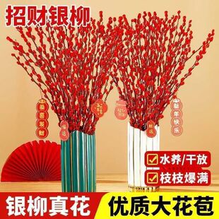 �y�������������tɫ�b͏d�����r֦�ɻ��廨������ϲ�c��������