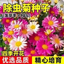 xջNӻɫֲԻNļ_ͥԺ̨ܷN