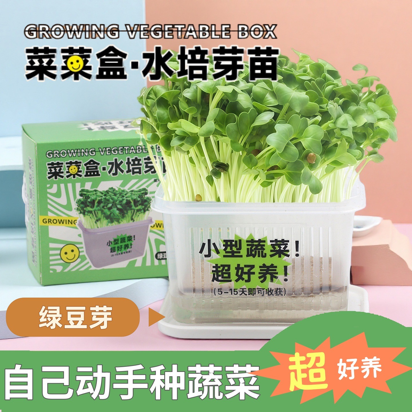Mung bean sprouts